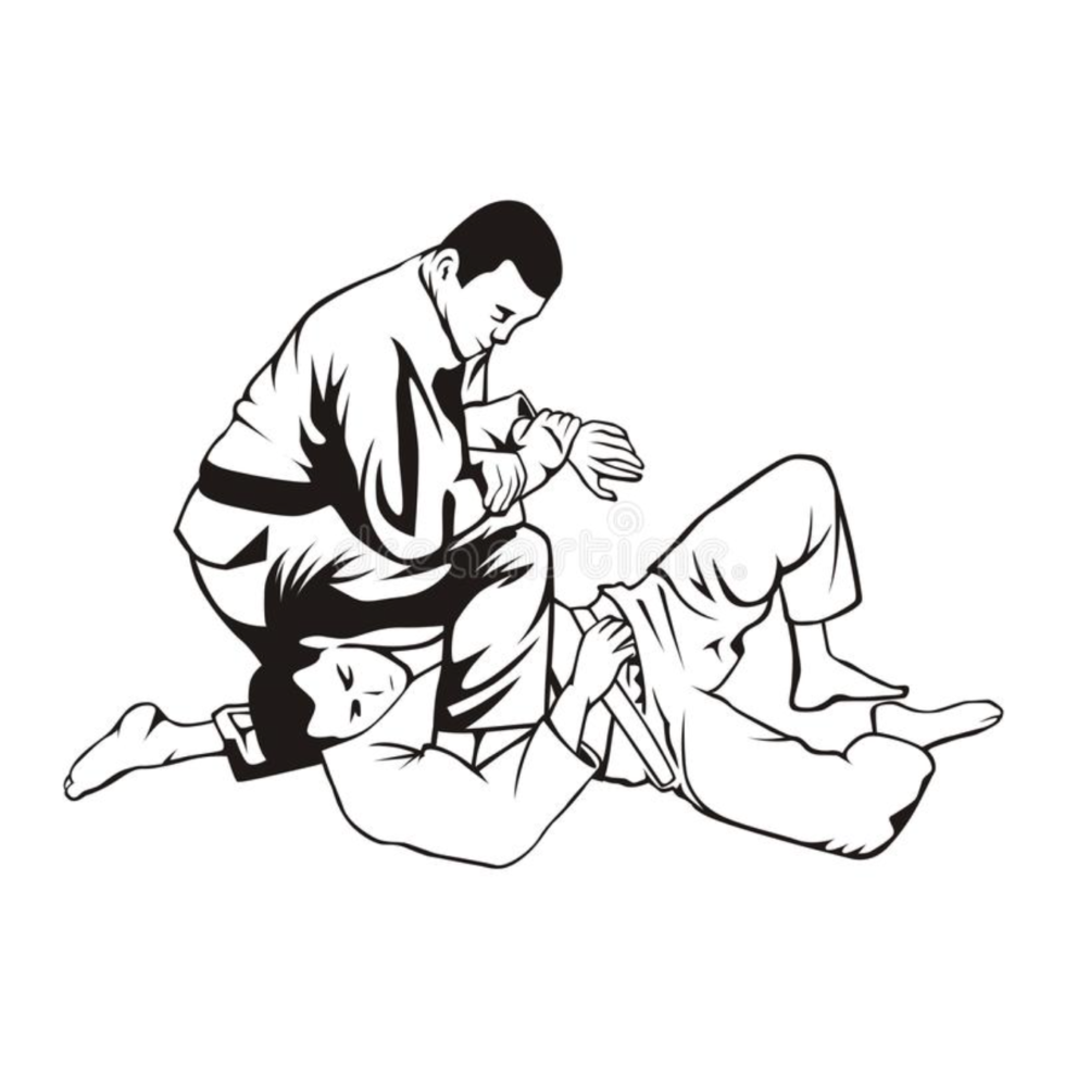 Quais são os golpes aprendidos em cada faixa de jiu jitsu Katagatame